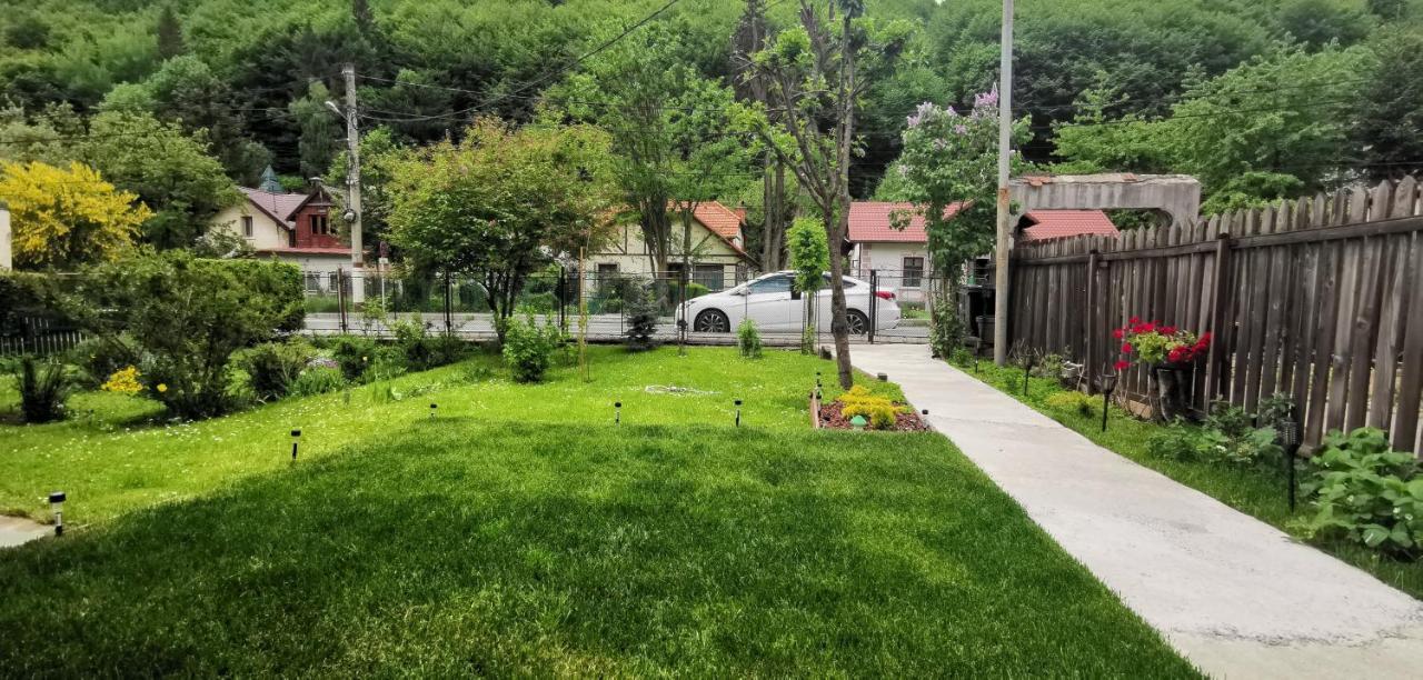 Casa Bunicilor Sinaia Villa Luaran gambar