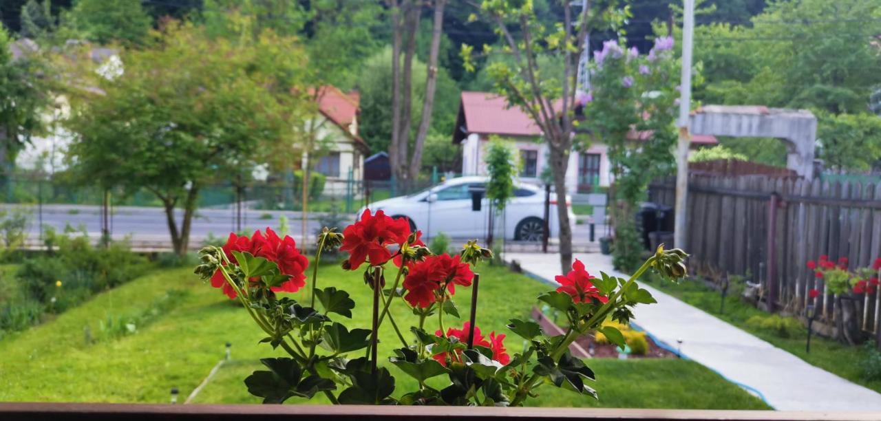 Casa Bunicilor Sinaia Villa Luaran gambar