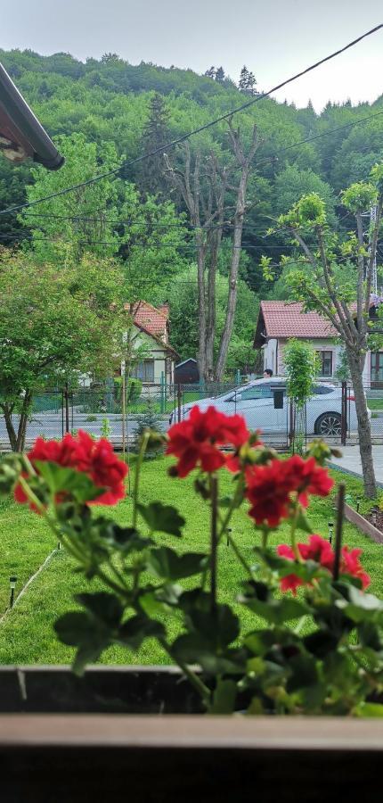 Casa Bunicilor Sinaia Villa Luaran gambar